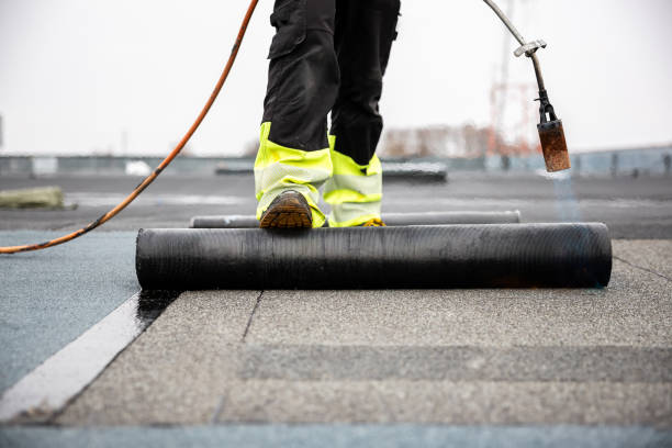 Best Rubber Roofing (EPDM, TPO)  in Sylvania, GA